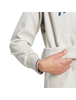 Mikina adidas Collegiate Hoodie M KC3872 men