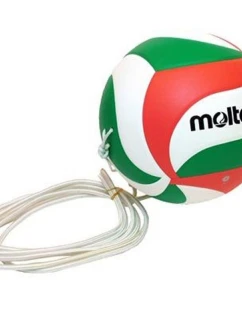 Molten Ball V5M9000T