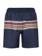 Pánske plážové šortky Protest PRTKALFORD (P2710821/906)