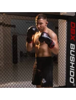 Boxerské rukavice 14oz - Ninja - Legacy Series Boxerské rukavice 14oz - Ninja - Legacy Series