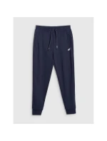 Pánske tepláky typu jogger 4F 4FRMM00TTROM1624-31S