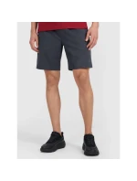 Pánske rýchloschnúce tréningové šortky 4F 4FWMM00TFSHM1310-22M