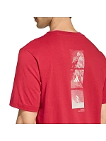 Pánske tričko adidas Outdoor Mountain Biking Graphic T-shirt red KB2538 pánske