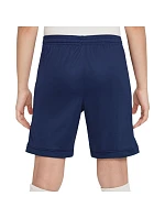 Šortky Nike Dri Fit Academy 25 Jr FZ9784 410
