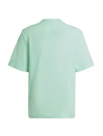 Detské tričko FI Logo Jr IC9532 - Adidas