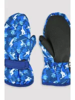 LYŽIARSKE RUKAVICE RN046 LYŽIARSKE RUKAVICE RN046