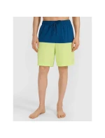 Pánske plážové šortky boardshorts 4F 4FWSS25UBDSM135-45S
