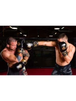 Boxerské rukavice 10oz - Aureos - Valor Series