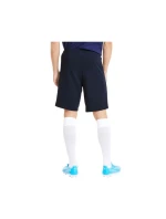 Pánske tenisky TeamGoal 23 Casuals M 656581-06 - Puma