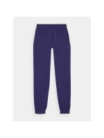 Dámske tepláky 4F 4FWMM00TTROF1138-31S