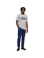 Pánske tričko adidas Sportsman Mountain Graphic T-shirt light grey KC9253 pánske