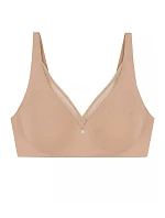 Soft model 229990 Triumph