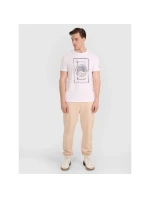 Pánske volejbalové tričko s potlačou 4F 4FRAW25TTSHM3236-10S pánske