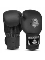 Boxerské rukavice 10oz - Black Master - Valor Series