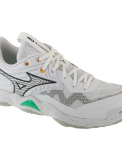 Mizuno Wave Momentum Elite V1GA251221 White 41