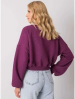 Mikina RV BL 7450.64 tmavo fialová Mikina RV BL 7450.64 tmavo fialová