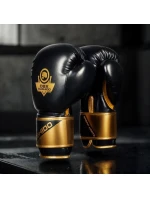 Boxerské rukavice 10oz - Infinity - Origin Series