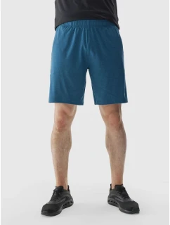Pánske pravidelné rýchloschnúce tréningové šortky 4F 4FWAW24TFSHM698-46M