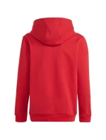 Adidas Tiro 23 League Sweat Hoodie Jr HS3607