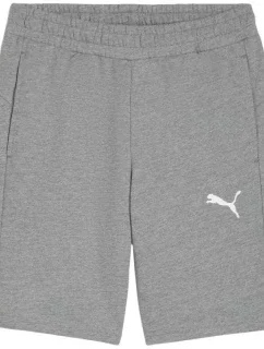 Puma pánske teamGOAL Casuals sivé 658608 33