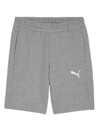 Puma pánske teamGOAL Casuals sivé 658608 33