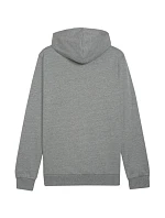 Puma Team Goal Casuals Hoody M 658618 33 Muži