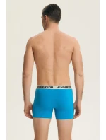 PÁNSKE ŠORTKY S MAŠĽOU 2PACK DLHÉ 44527 SS26