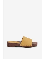 Dámské pantofle s cvoky žluté Terissa