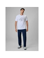Pánske tričko s logom 4F 4FRSS26TTSHM3999-10S Pánske tričko s logom 4F 4FRSS26TTSHM3999-10S