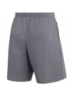 Pánske šortky Nike Park 26 Fleece light grey IB1238 071