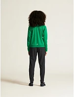 Craft Teamwear Evolve 2.0 Half Zip W Dámska tréningová bunda so zipsom na 1/4 dĺžky 82.4761 jasne červená Craft Teamwear Evolve 2.0 Half Zip W Dámska tréningová bunda so zipsom na 1/4 dĺžky 82.4761 jasne červená