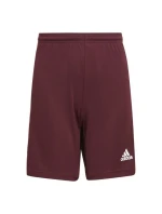 Squadra 21 Short Jr GN8081 - Adidas