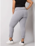 Tepláky RV DR 6300.19 sivá