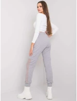 Tepláky RV DR 6896.48P sivá