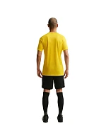 Pánske tričko Nike Dri-Fit Park 26 SS Top yellow HM7127 719 pánske