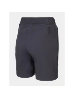 Dámske trekingové šortky 4F H4L22-SKDTR062-22S