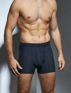 BOXERKY RÔZNE MINI 233 JAR 2024