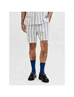 Jack&Jones pánske šortky JPSTJAIDEN COBA STRIPE JOG SHORTS REG SN 12274413 CLOUD DANCER/STRIPES Jack&Jones pánske šortky JPSTJAIDEN COBA STRIPE JOG SHORTS REG SN 12274413 CLOUD DANCER/STRIPES