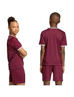 Detský dres adidas Entrada 26 Jersey burgundy JZ2530