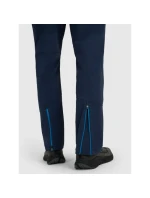 Pánske trekingové nohavice 4F 4FRAW25TFTRM1233-31S