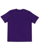 Tričko Champion SS Tee M 220264 VS025 men