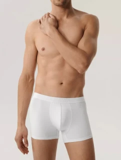 Boxerky Atlantic 2BMH-016 Bamboo A'2 S-2XL