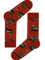 Dámske ponožky John Frank WJFLSFUN-CH64