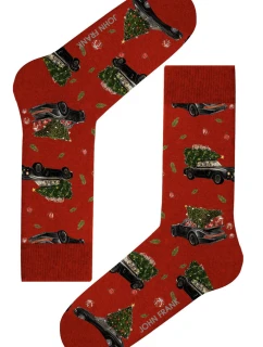 Dámske ponožky John Frank WJFLSFUN-CH64