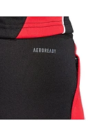 Nohavice adidas Tiro 24 Slim Training M JP2489