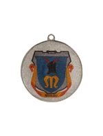 Strieborná medaila s priestorom pre emblém 25 mm - oceľová medaila s farebnou potlačou LuxorJet