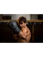 Boxerské rukavice 10oz - Black Master - Valor Series