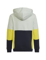 Adidas Colourblock Hoodie Jr HN8567