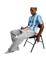 Pánske svetlo šedé fleecové nohavice Nike Park 26 IB1248 063