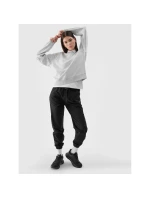 Dámska mikina s kapucňou 4F 4FWMM00TSWSF1765-27M